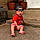 Kohen