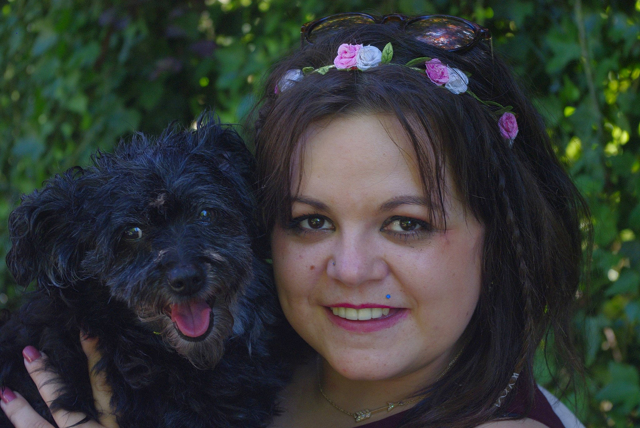 Minnie participe au concours pour gagner de l'argent avec cette photo : affenpinscher, black_hair, bolonka, canidae, carnivore, dog, dog_breed, eye, hair, havanese, iris, labradoodle, lady, poodle_crossbreed, portuguese_water_dog, puppy, schnoodle, smile, sporting_group