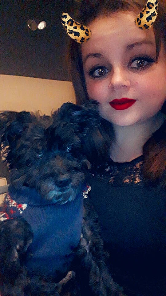 Minnie participe au concours pour gagner de l'argent avec cette photo : black_hair, bolonka, canidae, cockapoo, companion_dog, dog, dog_breed, fur, lip, maltepoo, morkie, nose, photography, poodle_crossbreed, puppy_love, schnoodle, selfie, smile, toy_poodle, yorkipoo