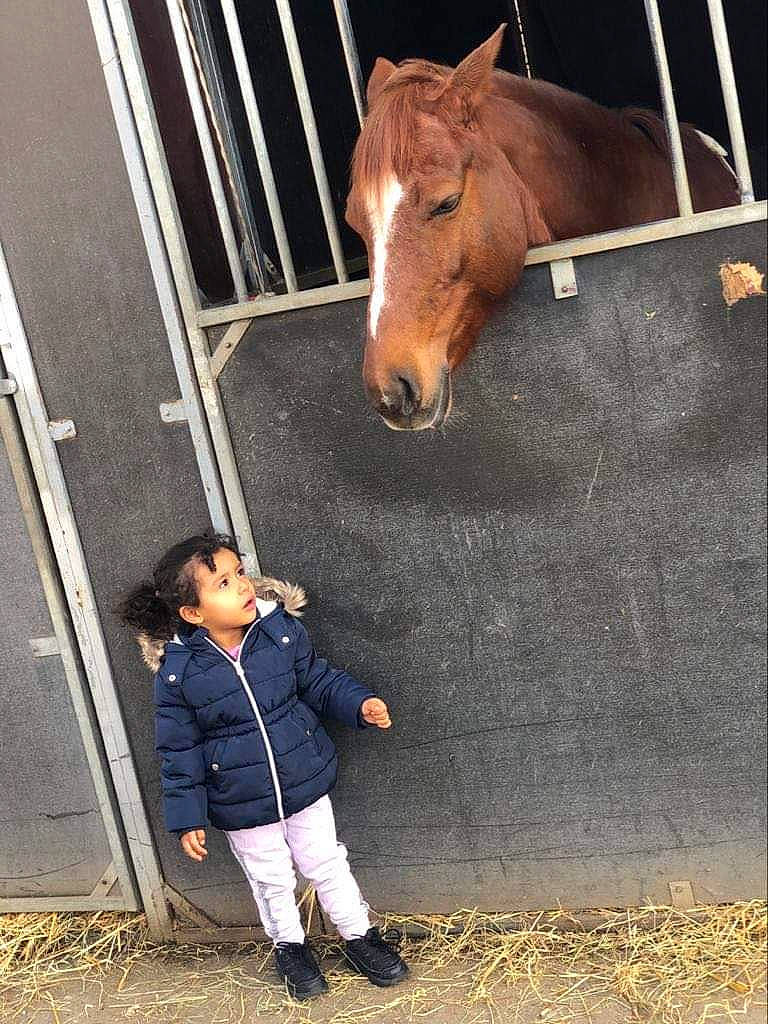 Leana participe au concours pour gagner de l'argent avec cette photo : child, horse, horse_grooming, horse_supplies, livestock, mane, mare, organism, pack_animal, person, pony, riding_instructor, snout, stable, stallion