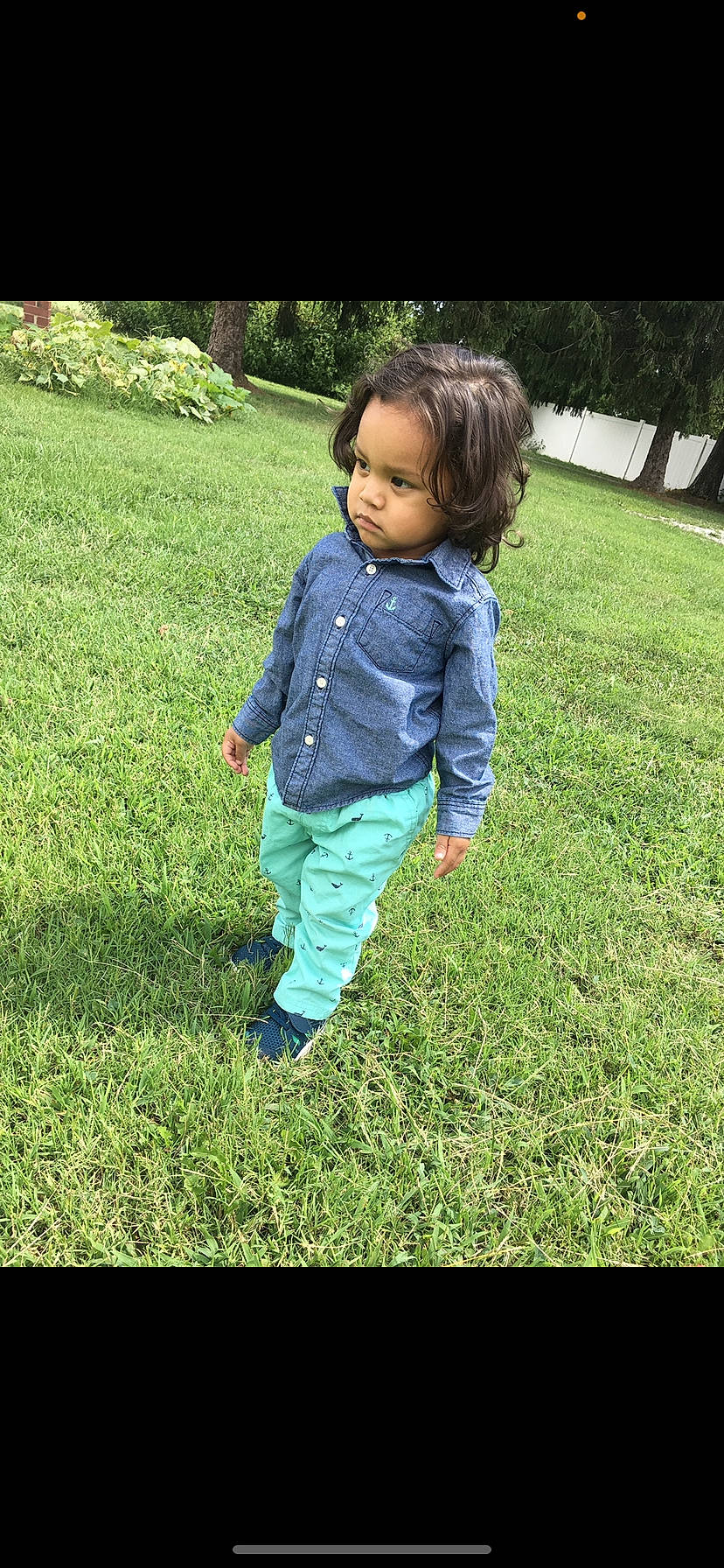 Zaidyn is registered to the contest to win money with this photo: baby, baby_toddler_clothing, child, grass, grass_family, groundcover, lawn, meadow, people_in_nature, person, play, toddler, yard