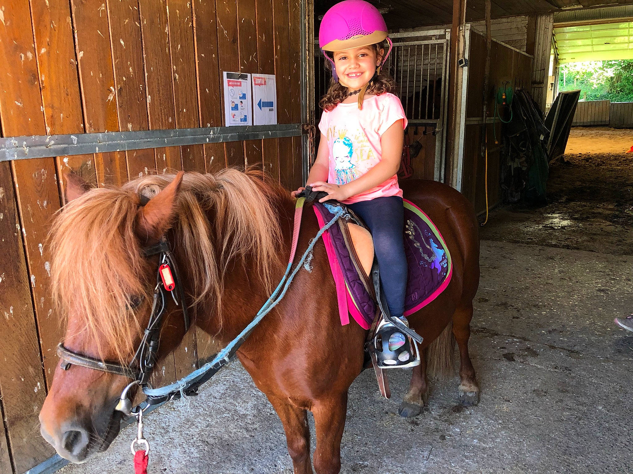 Naïla a rejoint le concours — aidez-le/la à gagner de superbes lots ! bit, bridle, equestrian_sport, equestrianism, eye, face, halter, headgear, headwear, helmet, horse, horse_supplies, horse_tack, joy, liver, mammal, mane, person, recreation, rein