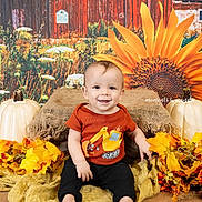 Oliver is registered to the contest to win money with this photo: baby, child, infant, smiling, portrait, seated, autumn, fall, pumpkin, sunflower, leaves, harvest, rustic, backdrop, indoor, orange, clothing, red_shirt, black_pants, photography
