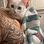 Misty is registered to the contest to win money with this photo: cat, kitten, white_cat, tattoo, arm, person, towel, striped_towel, indoor, bath_time, wet_fur, close_up, pet, animal, companion, cute, curious, holding, intimate, cozy