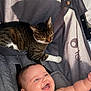 baby, cat, stroller, smiling, happy, tabby_cat, animal, child, indoor, pet, cute, infant, relaxed, light, shadow, person, fur, playful, comfort, cozy