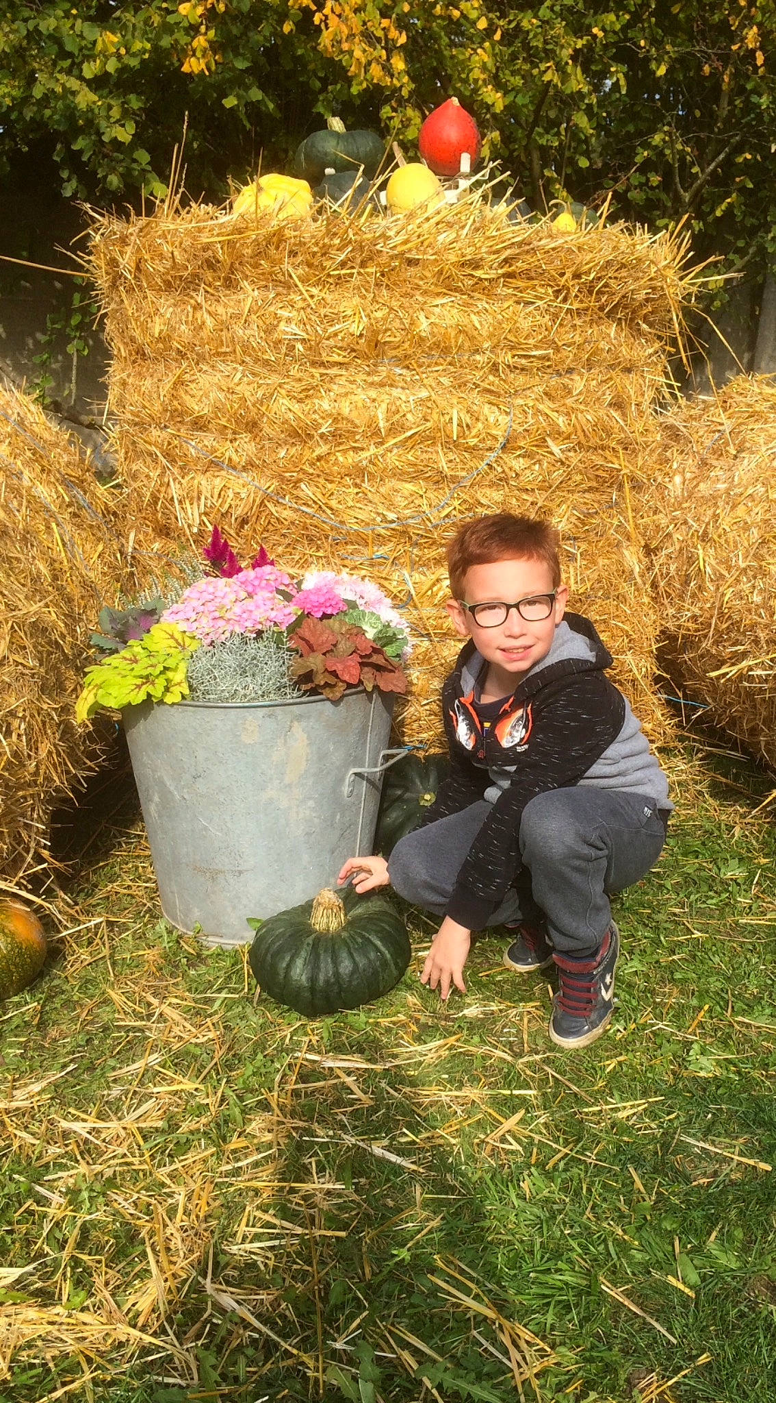 Alessandro participe au concours pour gagner de l'argent avec cette photo : grass, hay, joy, person, plant, pumpkin, straw, winter_squash