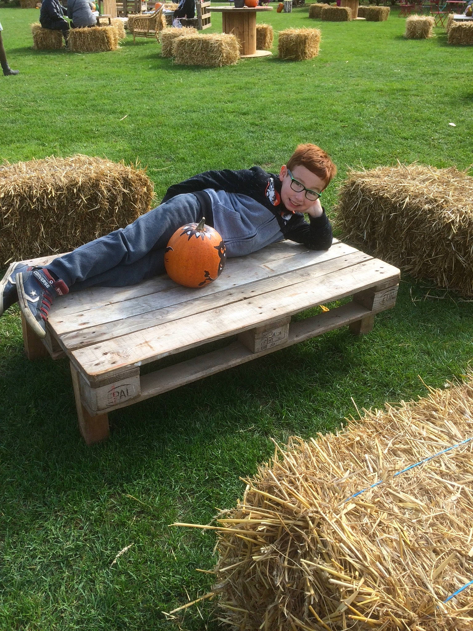 Alessandro a rejoint le concours — aidez-le/la à gagner de superbes lots ! agriculture, furniture, grass, grass_family, hay, joy, lawn, leisure, person, plant, straw, tree