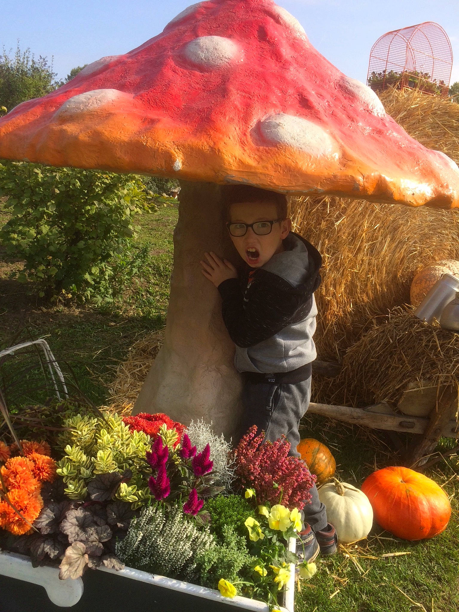 Alessandro a rejoint le concours — aidez-le/la à gagner de superbes lots ! autumn, flower, grass, lawn_ornament, mushroom, person, plant