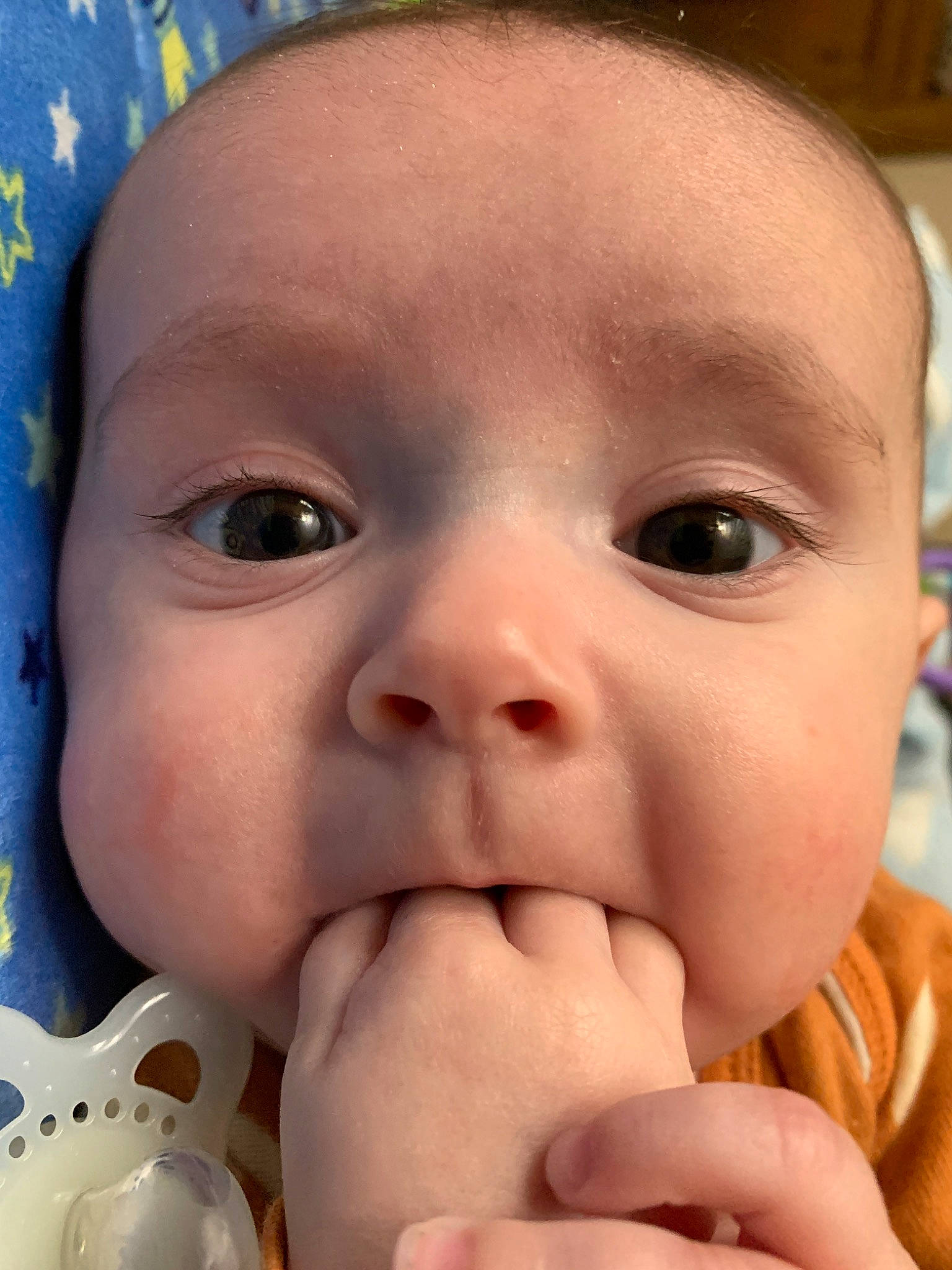 Nova is registered to the contest to win money with this photo: baby, beauty, cheek, child, chin, ear, eyebrow, eyelash, finger, forehead, gesture, happy, iris, lip, mouth, nose, person, photograph, skin, thumb