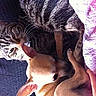 Edgar participe au concours pour gagner de l'argent avec cette photo :