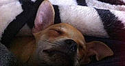 Edgar participe au concours pour gagner de l'argent avec cette photo :