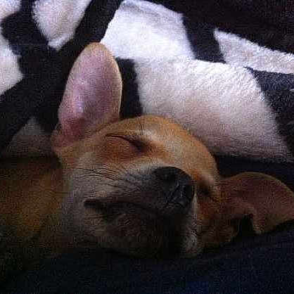 Edgar