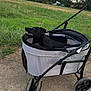 dog, black_dog, pet_stroller, outdoor, field, grass, trees, sky, cloudy_sky, path, wheels, animal, canine, pet, nature, daytime, looking_up, happy, walking, leisure