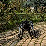 Ivar a rejoint le concours — aidez-le/la à gagner de superbes lots ! dog, black_dog, wheelchair, disability, outdoor, paved_path, greenery, bushes, grass, sunlight, animal, pet, nature, canine, wheelchair_assist, walking_aid, four_legs, daylight, park, garden