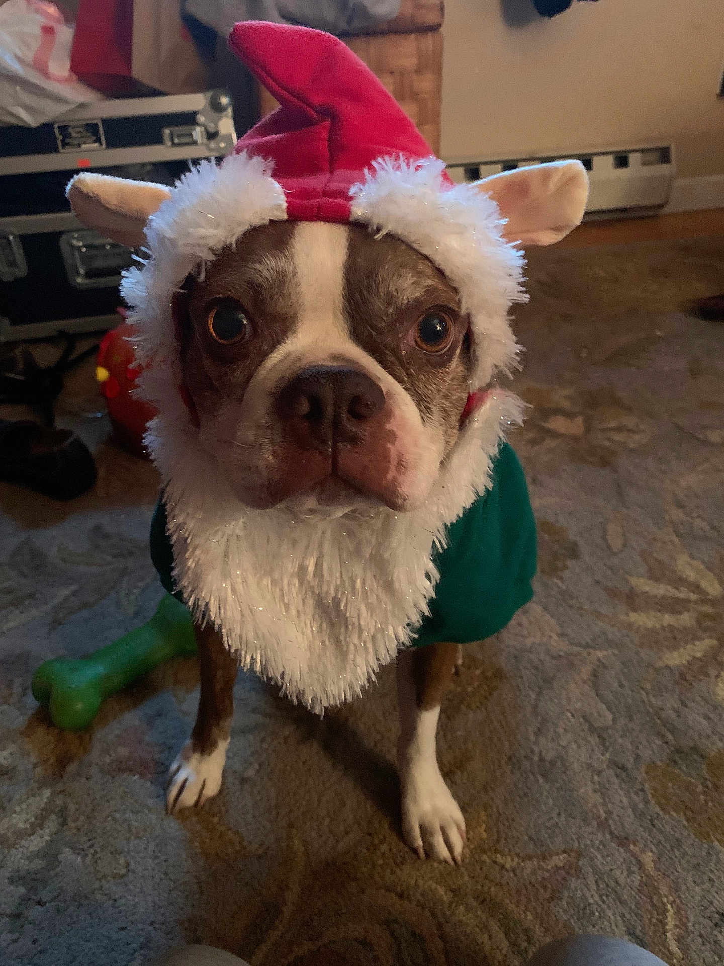 Bosco