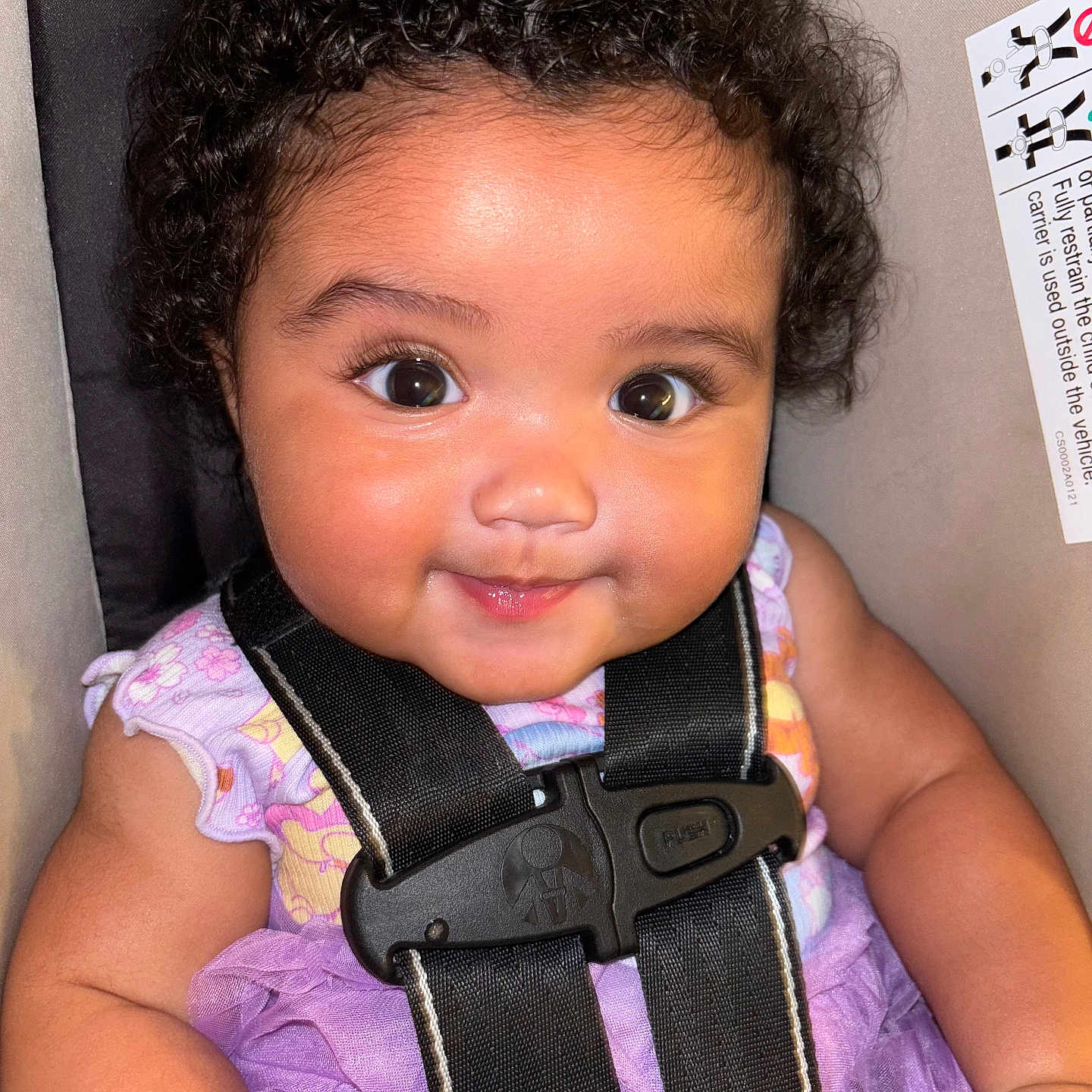 Brylee