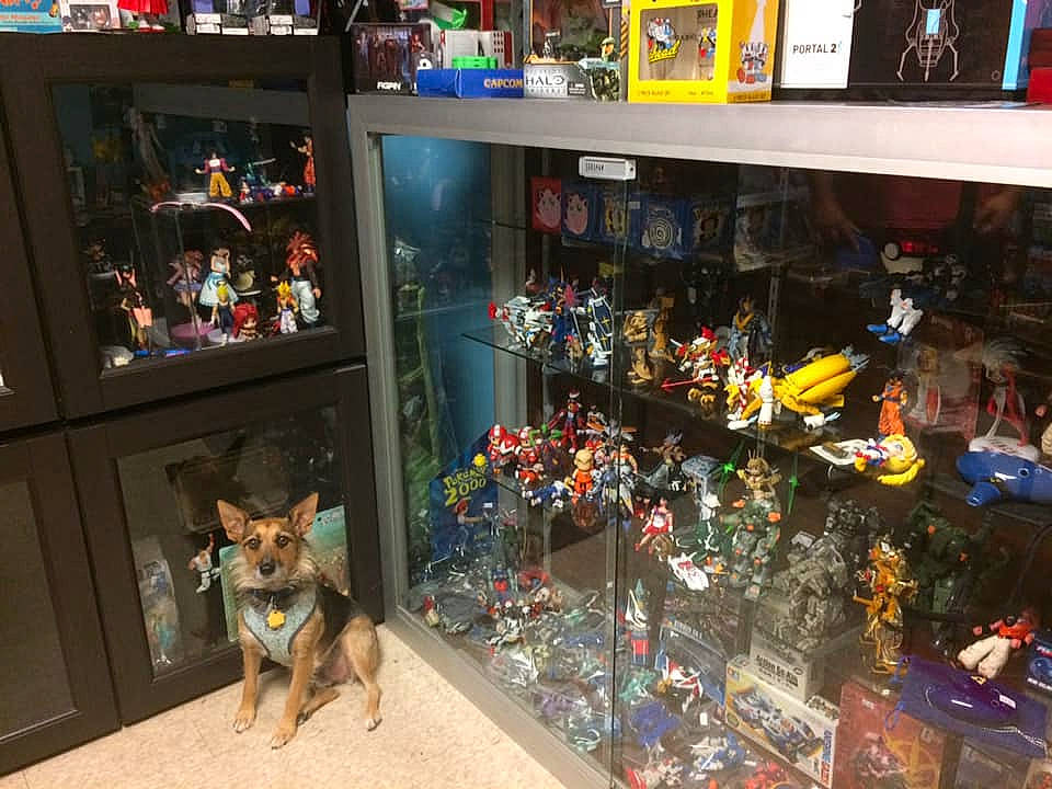 Herbie joined the competition — help win amazing prizes! action_figure, canidae, collection, display_case, fictional_character, games, room, toy