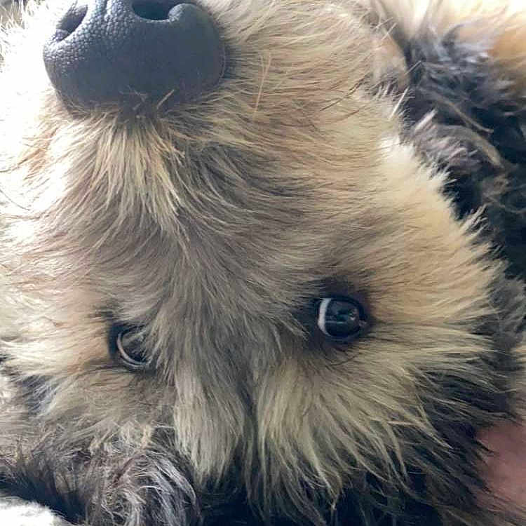 Ruby