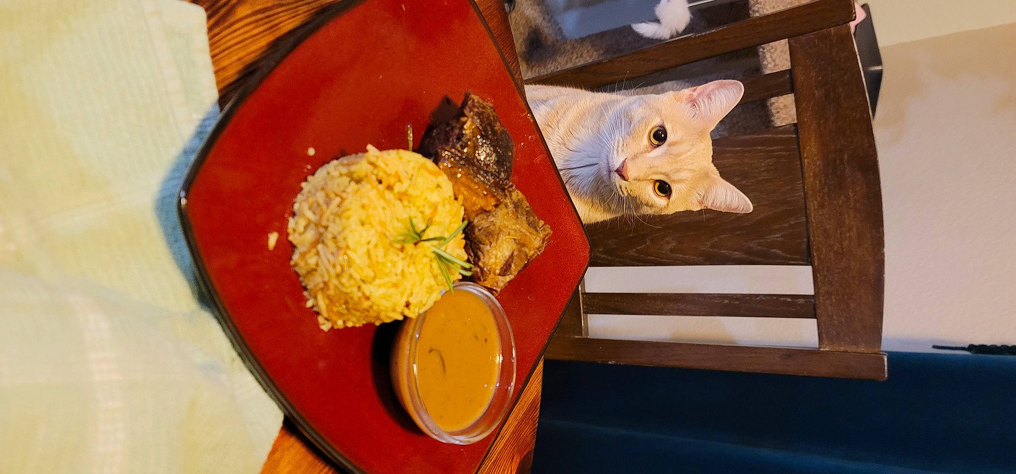 Savory joined the competition — help win amazing prizes! carnivore, cuisine, dish, fawn, felidae, food, ingredient, jollof_rice, plate, produce, recipe, rice, small_to_medium_sized_cats, spiced_rice, staple_food, steamed_rice, tableware, whiskers, white_rice, wood