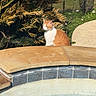 cat, orange_cat, white_cat, outdoor, pool, stone_ledge, greenery, plants, fence, sunlight, garden, nature, calm, pet, animal, backyard, daytime, relaxing, sitting, fur