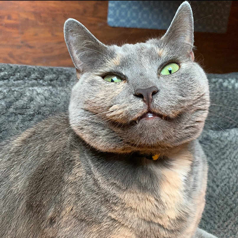 Luna