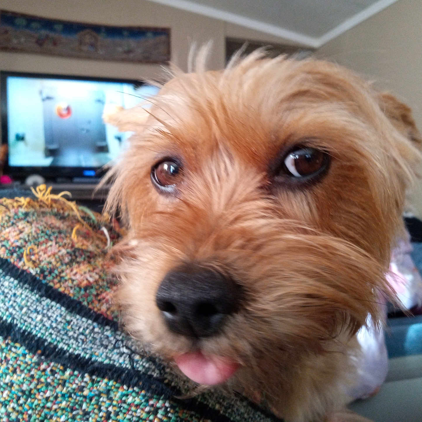 Mitzie