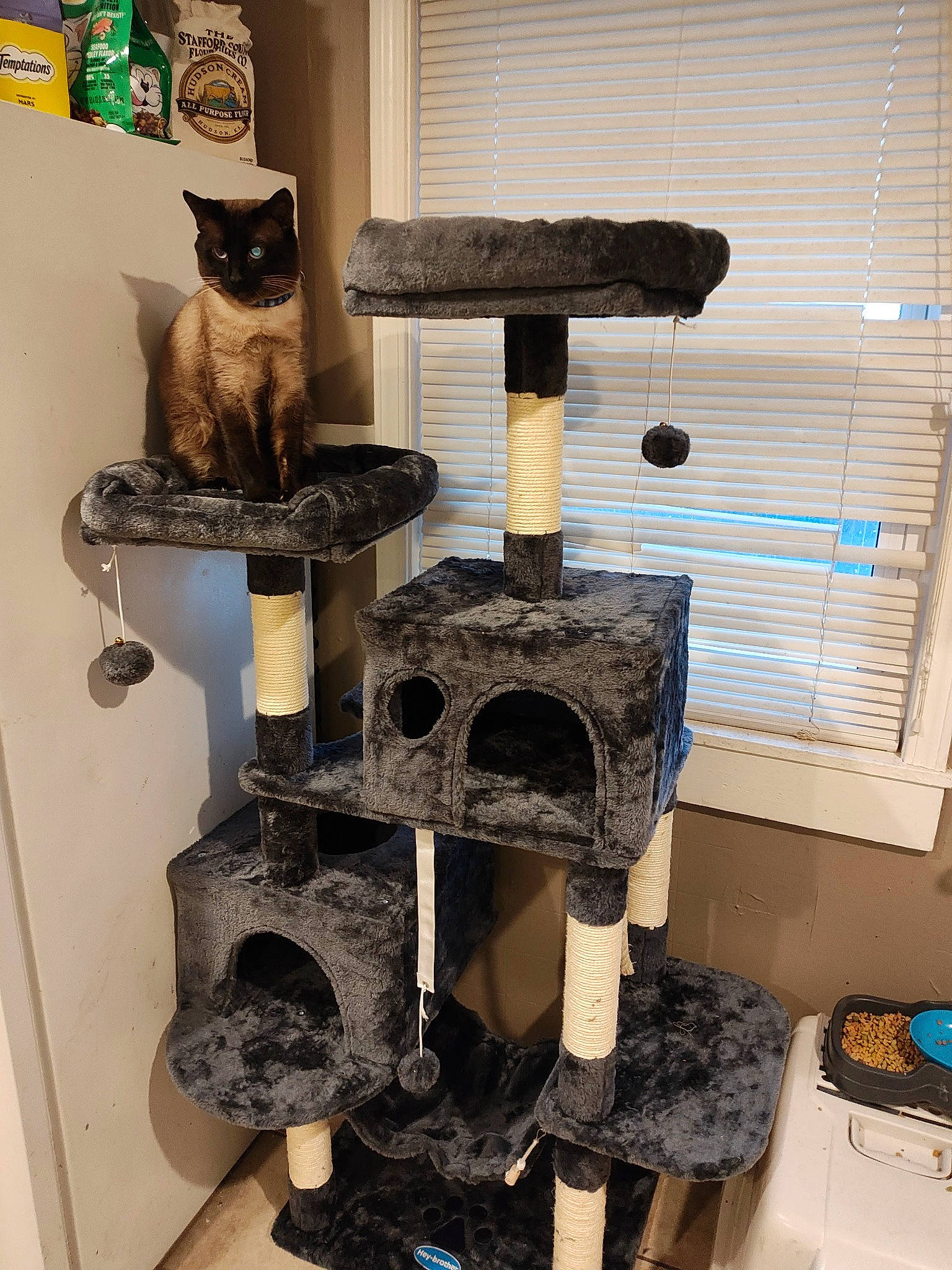 Oreo