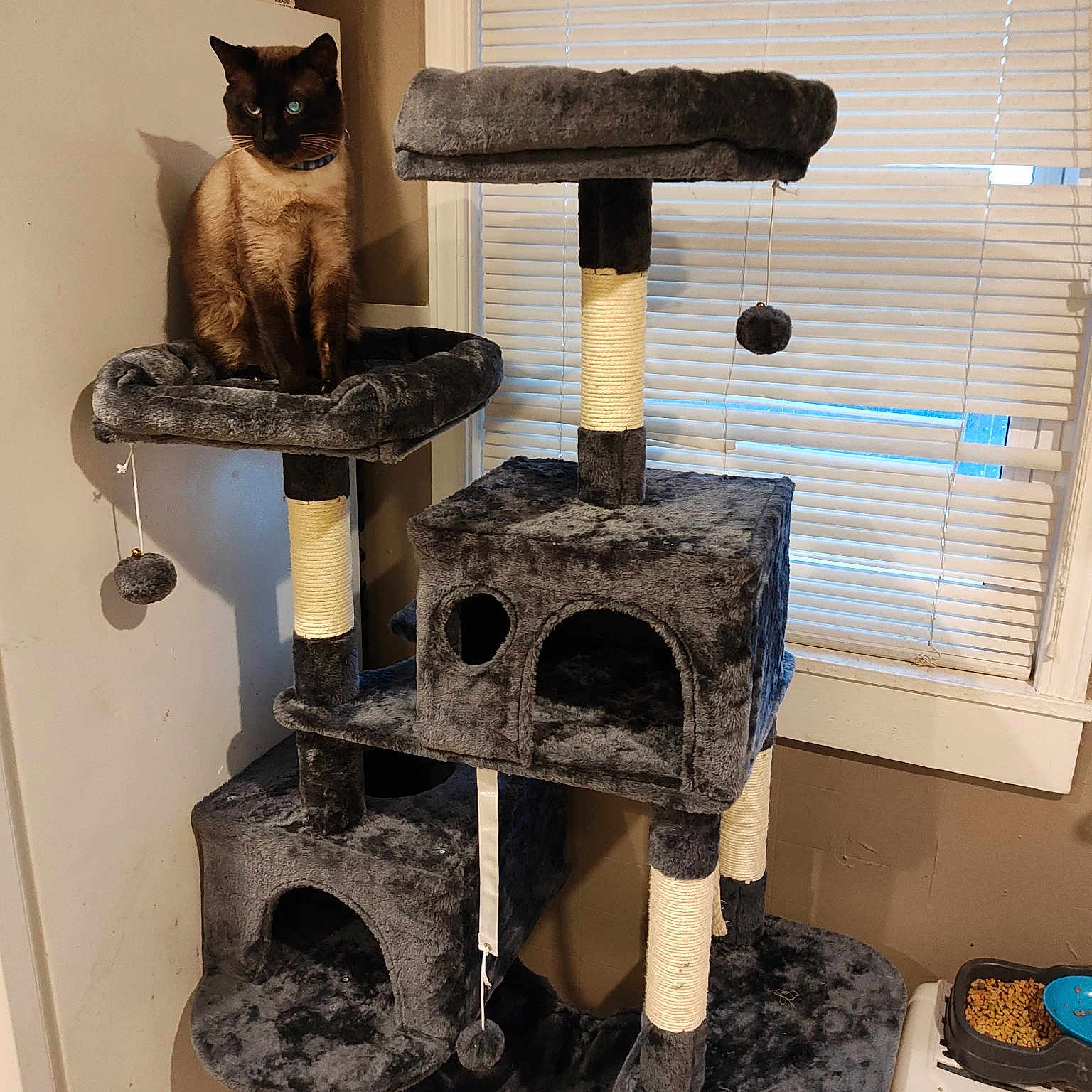 Oreo