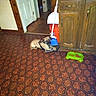 Raider is registered to the contest to win money with this photo: floor, flooring, hardwood, laminate_flooring, pattern, square, tile, wood, wood_flooring, wood_stain