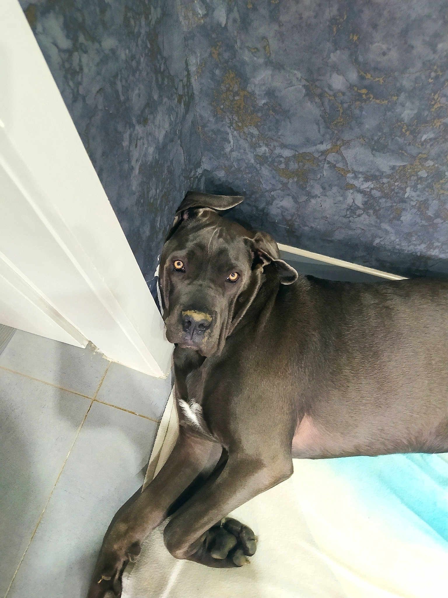 Gaïa Rinella Du Domaine De Tila