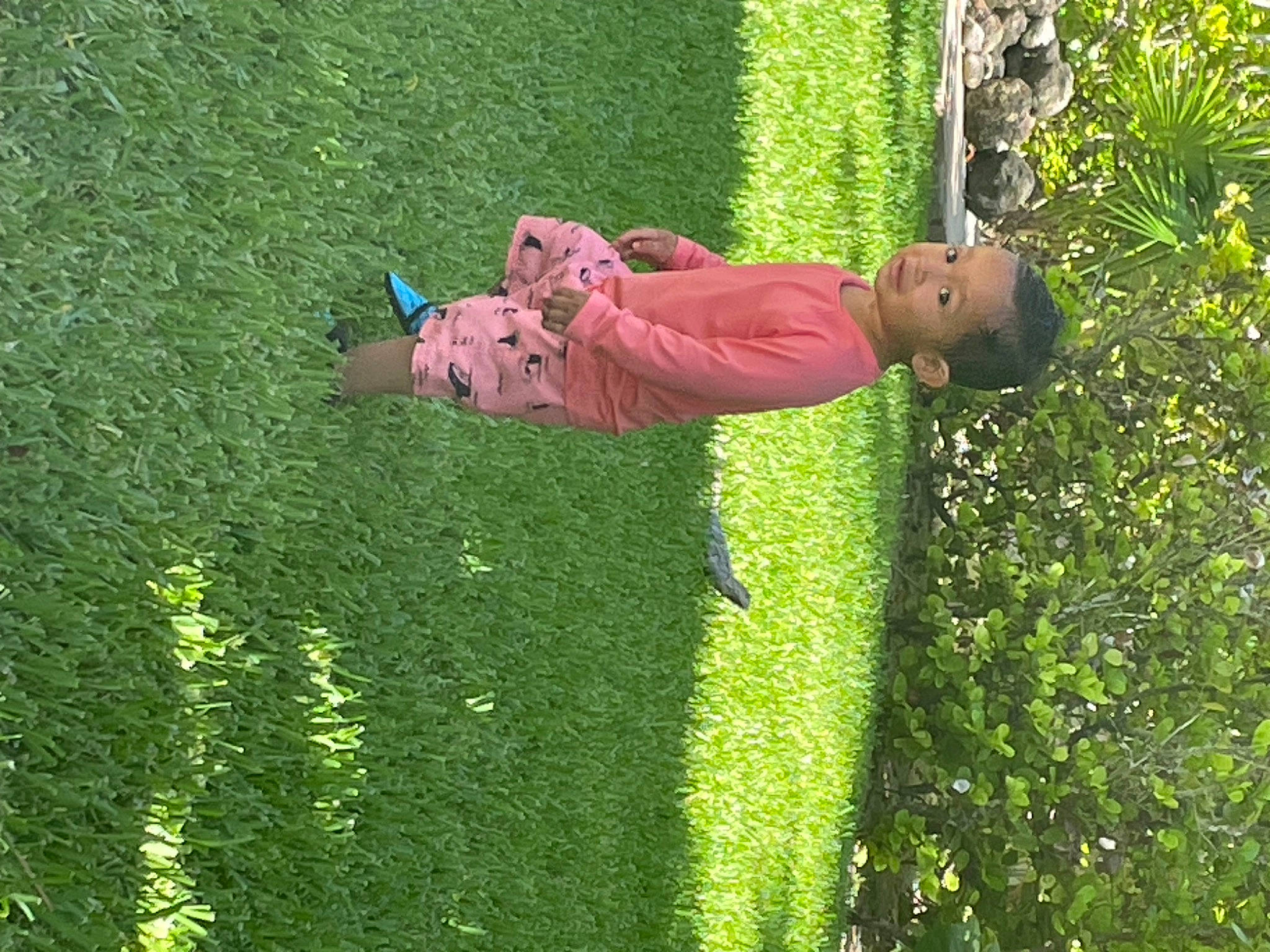 Diego joined the competition — help win amazing prizes! artificial_turf, fun, garden, grass, grass_family, grassland, green, groundcover, happy, landscape, landscaping, lawn, leisure, meadow, people_in_nature, person, plant, recreation, shrub, smile