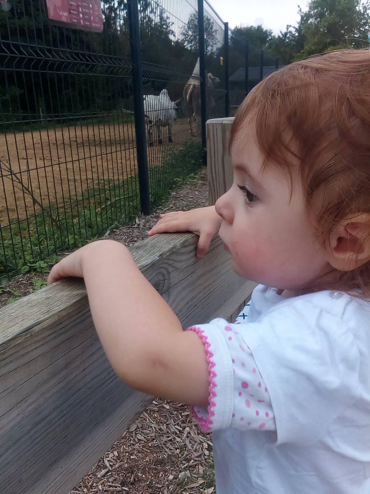 Kaëlys a rejoint le concours — aidez-le/la à gagner de superbes lots ! baby, baby_toddler_clothing, child, fence, finger, fun, gesture, grass, happy, leisure, mesh, mouth, nose, person, plant, sleeve, thumb, toddler, tree, vacation