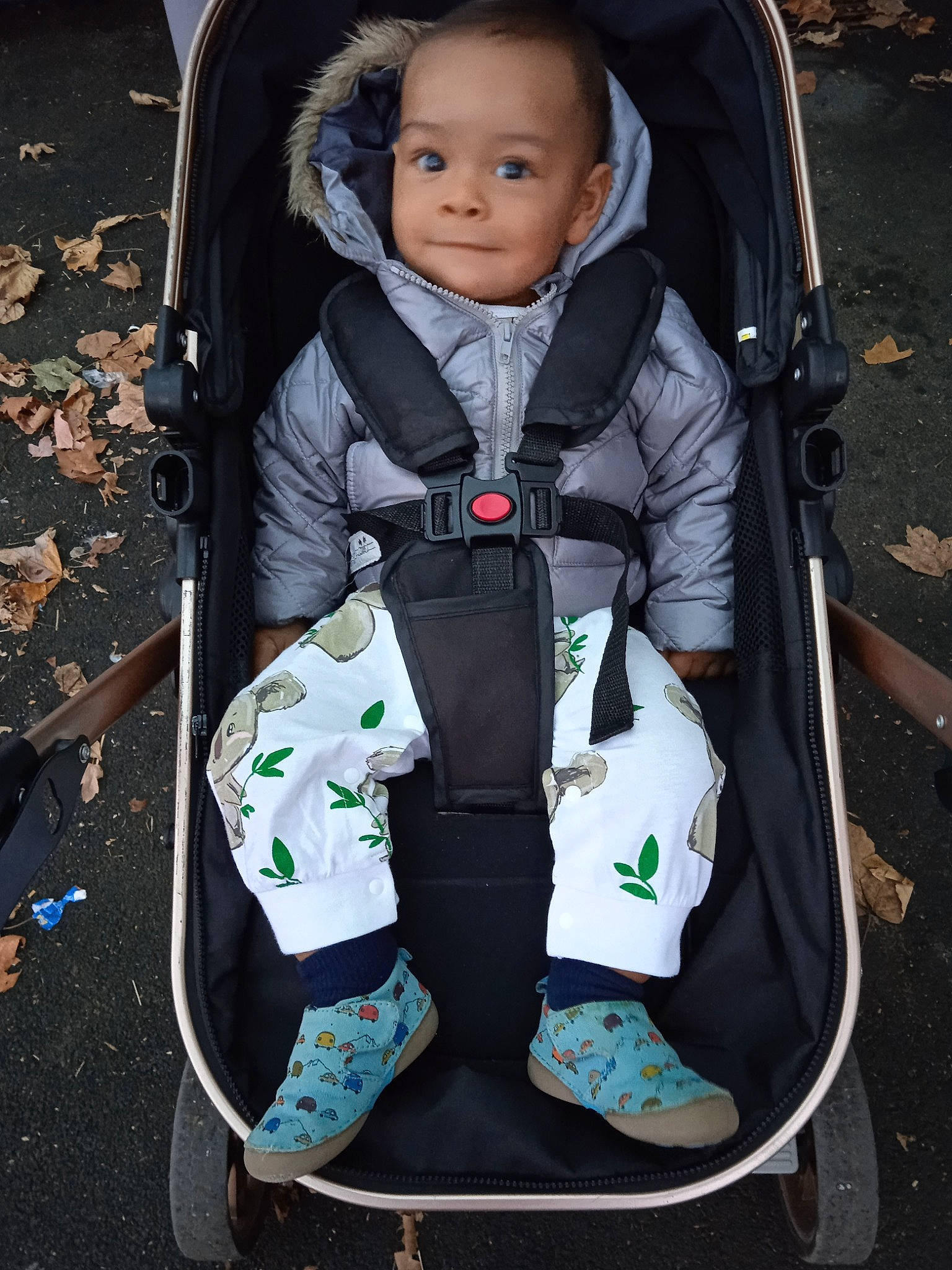 Kyllian participe au concours pour gagner de l'argent avec cette photo : baby, baby_carriage, baby_products, baby_safety, beauty, black, chair, child, comfort, electric_blue, face, fashion_accessory, green, person, photograph, product, sitting, snapshot, toddler, wheel