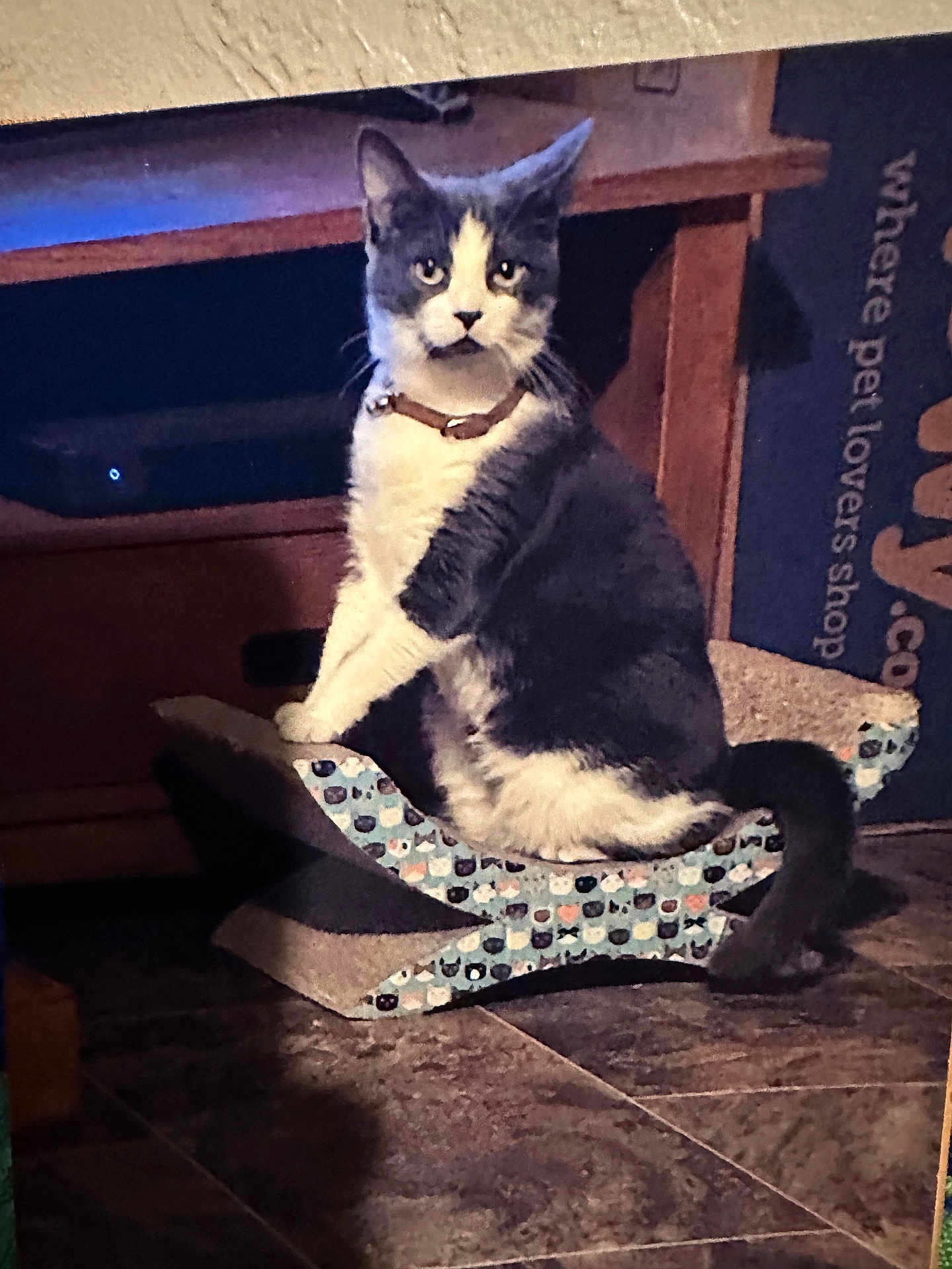 Oreo
