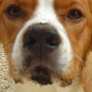 Globule a rejoint le concours — aidez-le/la à gagner de superbes lots !