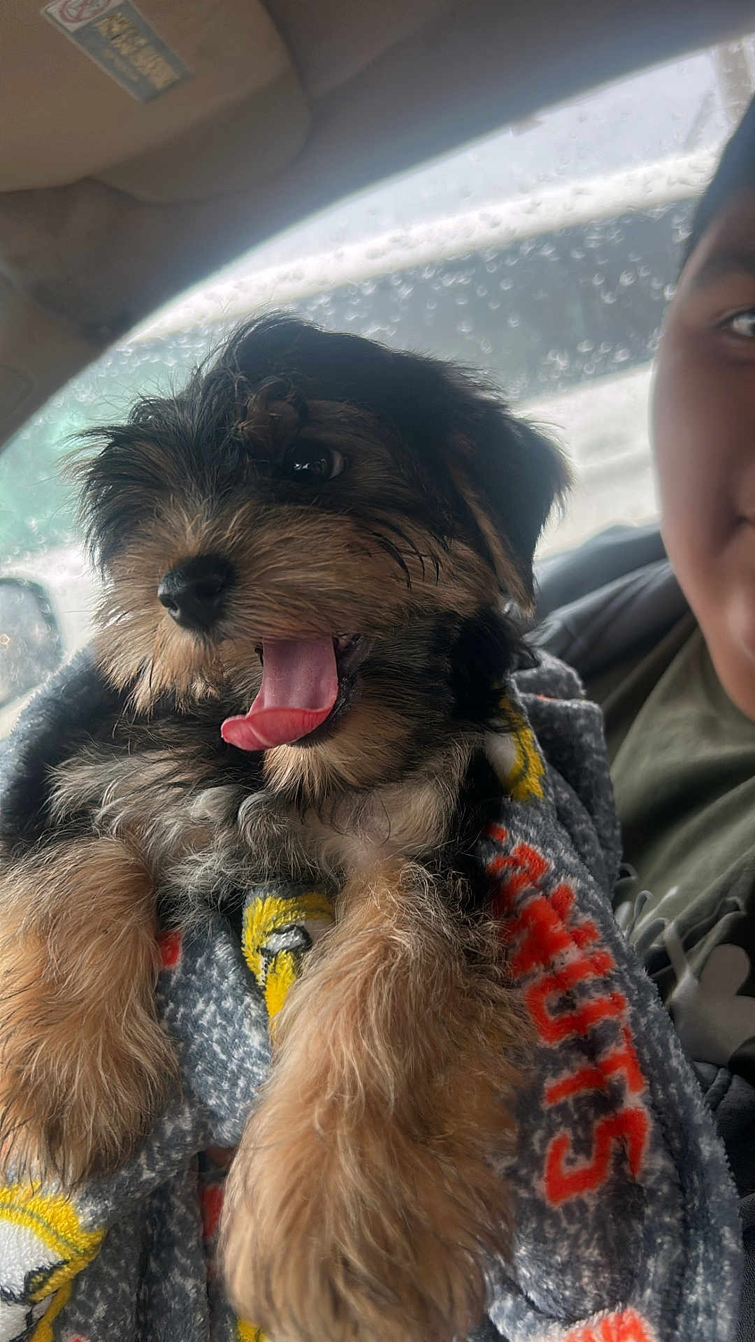 Marley