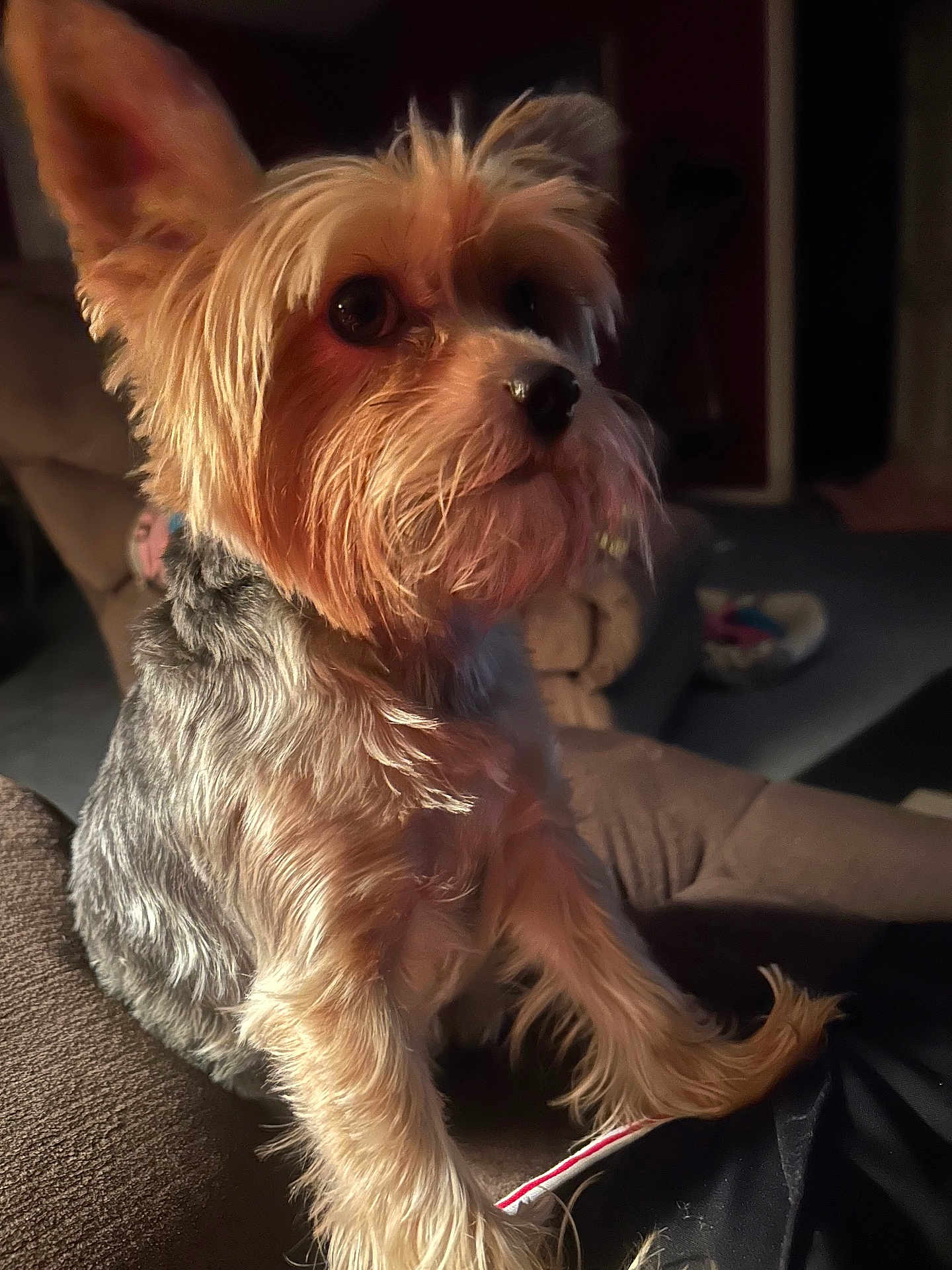 Zoey