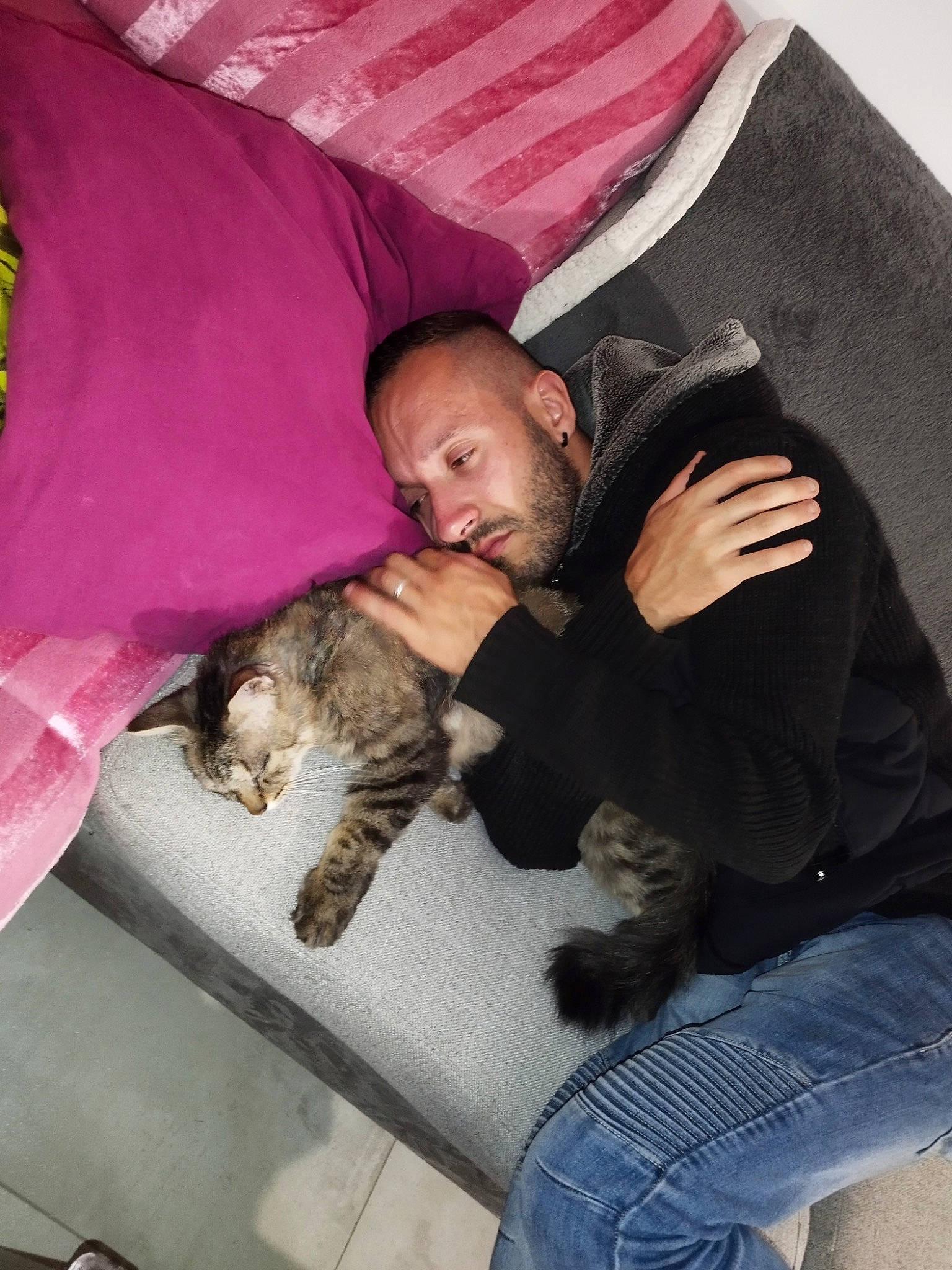 Paillettes participe au concours pour gagner de l'argent avec cette photo : carnivore, cat, comfort, companion_dog, denim, domestic_short_haired_cat, felidae, fur, lap, linens, nap, paw, pillow, sitting, sleep, small_to_medium_sized_cats, sporting_group, tail, whiskers