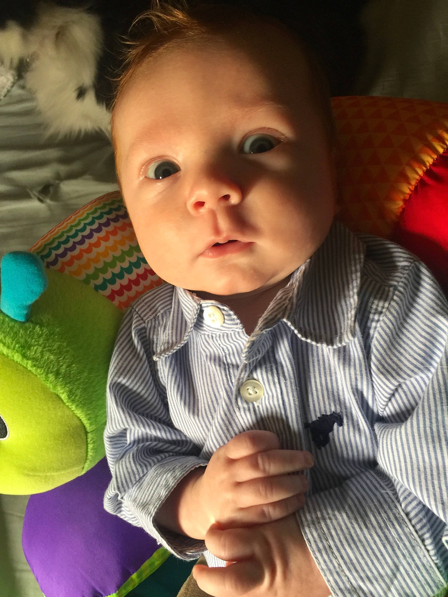 Malcolm joined the competition — help win amazing prizes! adaptation, baby, cheek, child, eye, face, facial_expression, forehead, fun, head, human, iris, lip, mouth, nose, person, photography, play, skin, smile