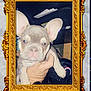 french_bulldog, puppy, dog, pet, car_interior, hand, golden_frame, portrait, cute, animal, ears, face, closeup, holding, sparkles, background, crumpled_paper, watch, dashboard, lighting