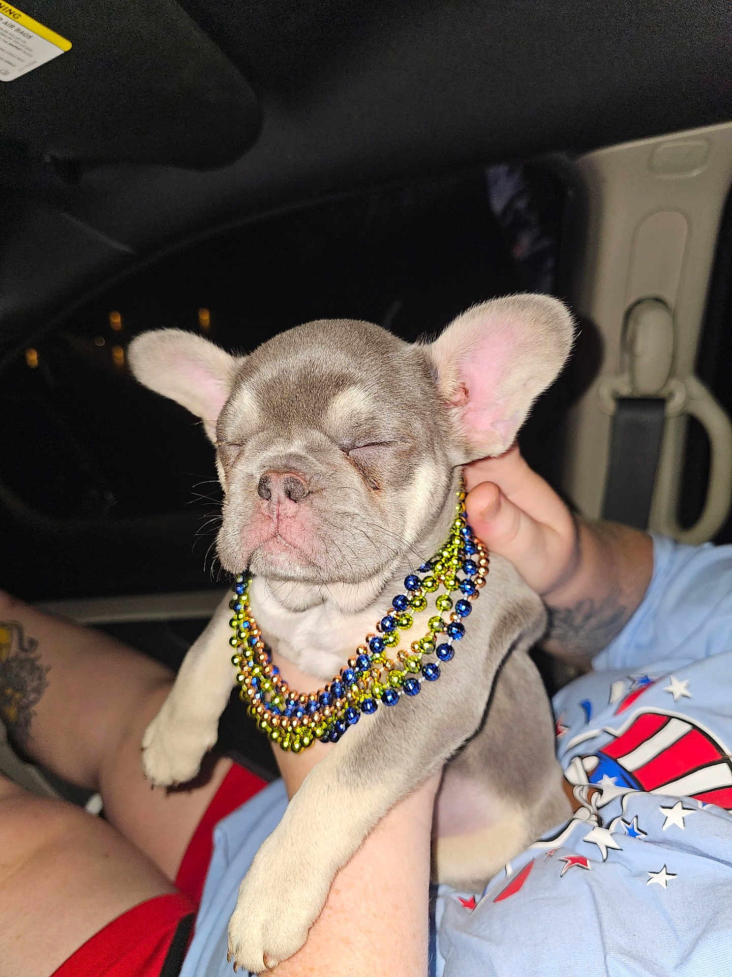 Stitch