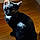 Binx