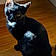 Binx