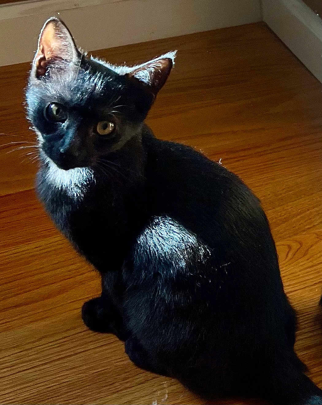Binx