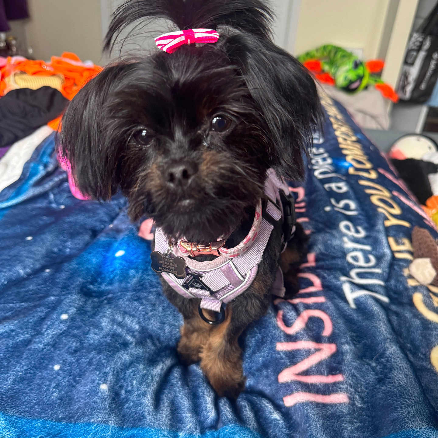 Callie Rae Williams