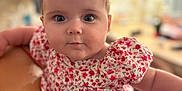 Gabriella a rejoint le concours — aidez-le/la à gagner de superbes lots ! baby, child, infant, face, portrait, pink_bow, floral_dress, person, curious, eyes, cheeks, arm, red_clothing, blurred_background, indoor, holding, skin, head, cute, closeup