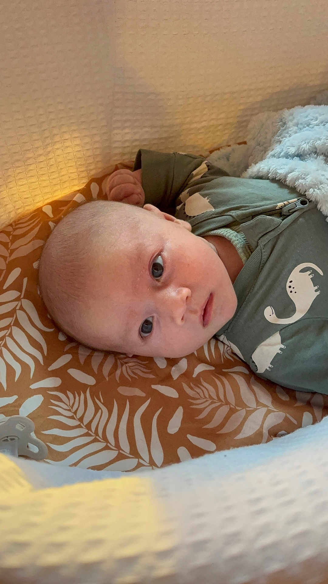 Henry is registered to the contest to win money with this photo: baby, blanket, child, comfort, cozy, cushion, cute, dinosaur_print, face, indoors, infant, looking, lying_down, onesie, patterned, portrait, resting, sleeping_area, soft_texture, young