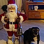 Mickey a rejoint le concours — aidez-le/la à gagner de superbes lots ! animal, baby, canine, christmas, christmasdecorations, computerhardware, dog, electronics, face, festival, hardware, head, monitor, person, pet, puppy, santaclaus, screen, tv