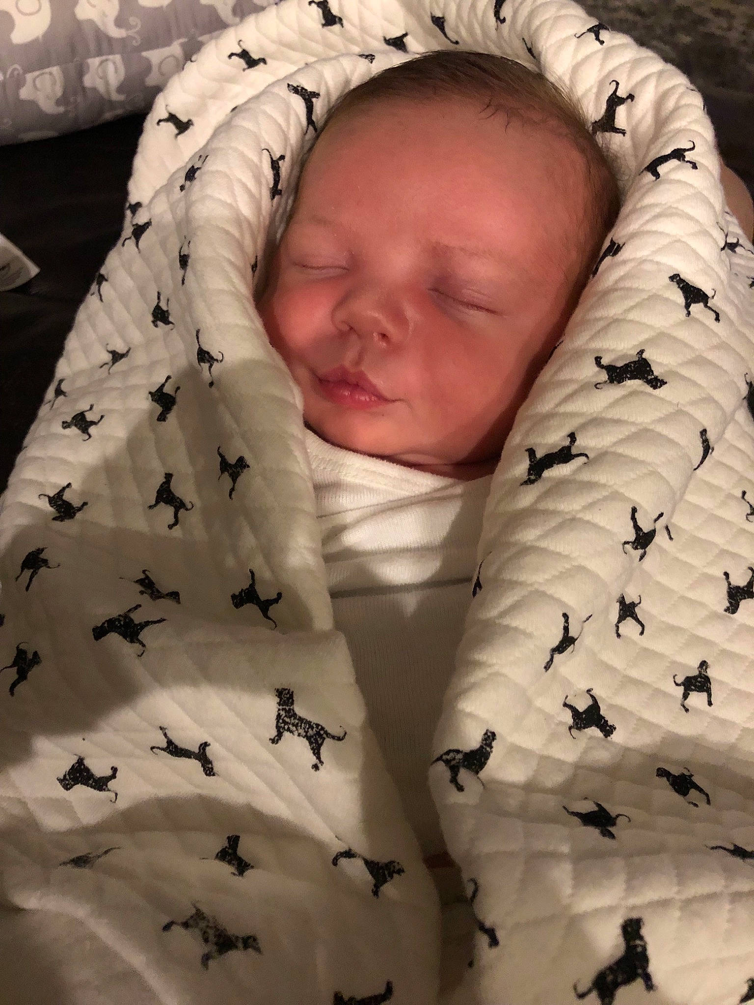 Baker joined the competition — help win amazing prizes! baby, baby_sleeping, bedtime, cheek, child, nap, person, sleep, toddler