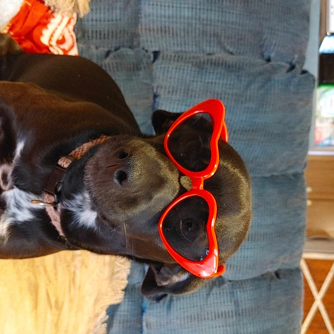 Suga Momma